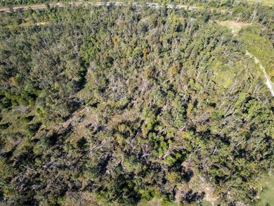3.9 Acres Overlooking the White River Perched high above the - photo 31