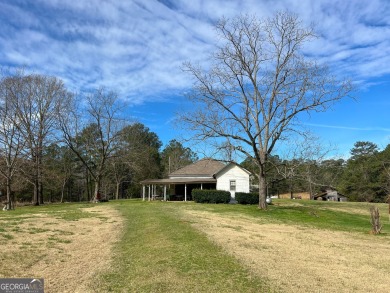 Lake Home For Sale in Shiloh, Georgia