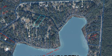 Lake Elizabeth - Alachua County Lot For Sale in Earleton Florida