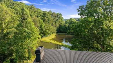 Discover a rare opportunity to own a stunning contemporary - photo 39