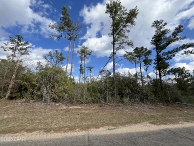 Compass Lake Lot For Sale in Alford Florida