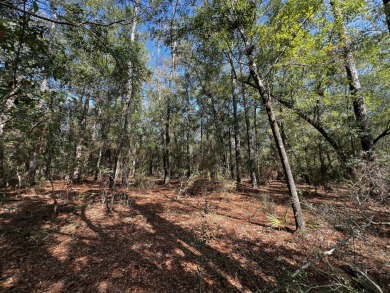 Lake Lot For Sale in Milton, Florida