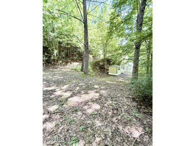 Singlewide home sitting on 1.45 +/- unrestricted acres! Nestled - photo 19