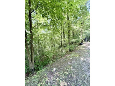 Singlewide home sitting on 1.45 +/- unrestricted acres! Nestled - photo 21