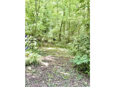 Singlewide home sitting on 1.45 +/- unrestricted acres! Nestled - photo 22
