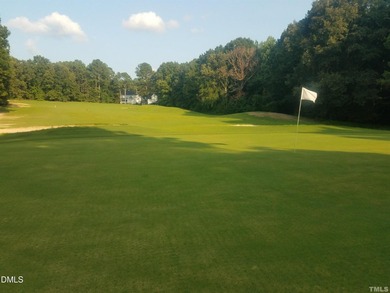 Gorgeous residential lot in the coveted gated community of Lake - photo 38