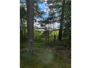 Woman Lake Lot For Sale in Longville Minnesota