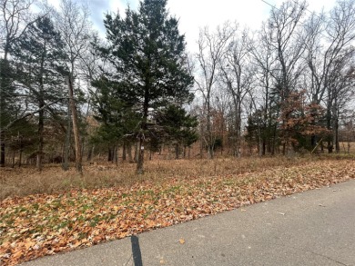 Port Perry # 2 Lake Lot For Sale in Perryville Missouri