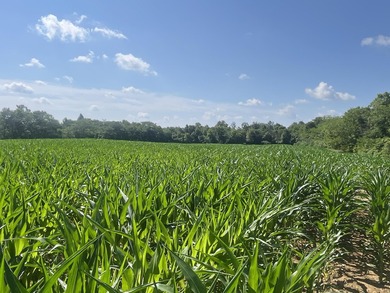 Discover the perfect blend of investment potential, recreation - photo 15