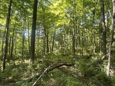Discover the perfect blend of investment potential, recreation - photo 22