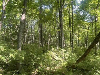 Discover the perfect blend of investment potential, recreation - photo 23