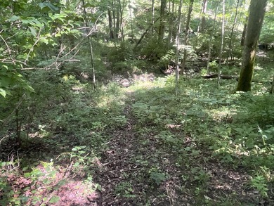 Discover the perfect blend of investment potential, recreation - photo 26