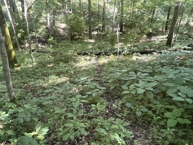Discover the perfect blend of investment potential, recreation - photo 28