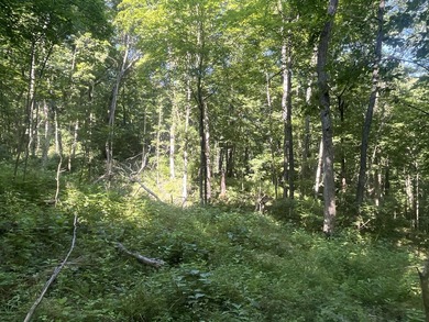 Discover the perfect blend of investment potential, recreation - photo 29
