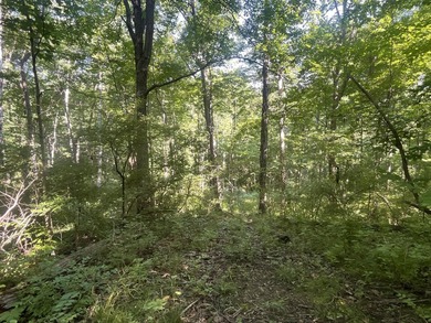 Discover the perfect blend of investment potential, recreation - photo 30