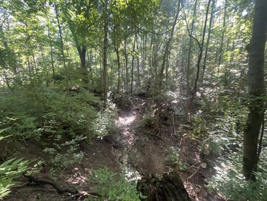 Discover the perfect blend of investment potential, recreation - photo 32