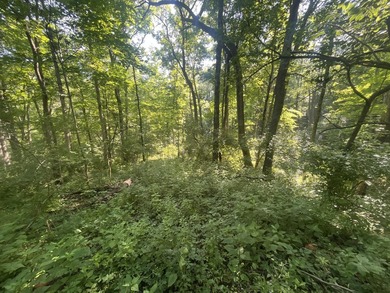 Discover the perfect blend of investment potential, recreation - photo 33