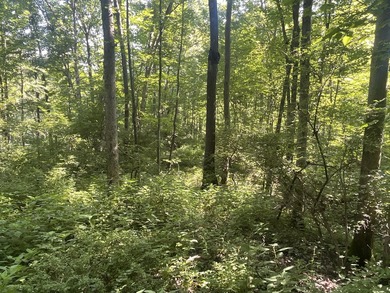 Discover the perfect blend of investment potential, recreation - photo 34