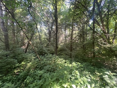 Discover the perfect blend of investment potential, recreation - photo 38