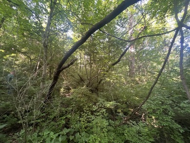 Discover the perfect blend of investment potential, recreation - photo 46