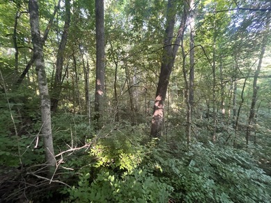 Discover the perfect blend of investment potential, recreation - photo 47