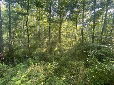 Discover the perfect blend of investment potential, recreation - photo 48