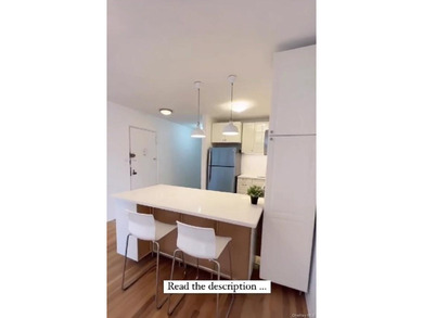 VACANT-NEW RENOVATION-THE VIKING COOPS-Prime Sheepshead Bay - photo 4