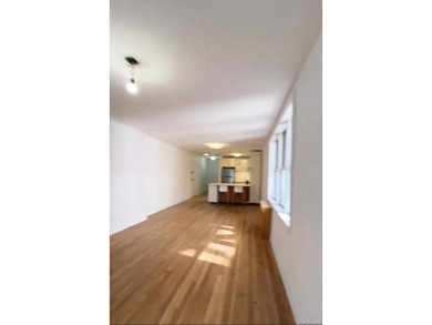 VACANT-NEW RENOVATION-THE VIKING COOPS-Prime Sheepshead Bay - photo 6