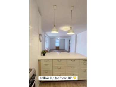 VACANT-NEW RENOVATION-THE VIKING COOPS-Prime Sheepshead Bay - photo 8