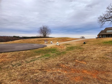 This beautiful 1+ acre hilltop lot sits at the end of a quiet - photo 7