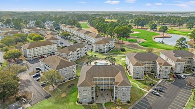 Welcome to 4687 Wild Iris Drive, Unit 303, located in the - photo 40