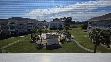 Welcome to 4687 Wild Iris Drive, Unit 303, located in the - photo 47