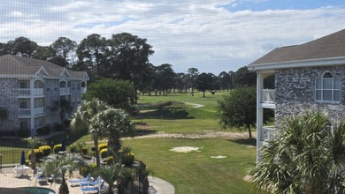 Welcome to 4687 Wild Iris Drive, Unit 303, located in the - photo 48