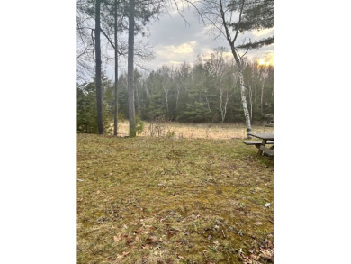 Lake Lot For Sale in Alger, Michigan