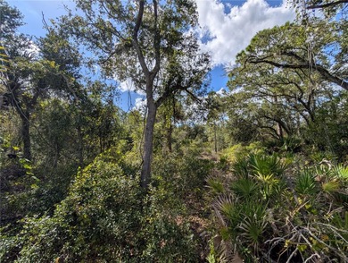 Port Charlotte Waterway Lakes Area Lot For Sale in Port Charlotte Florida