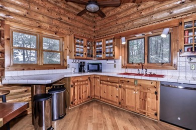 Stunning Northwoods retreat with 233 feet of pristine waterfront - photo 13