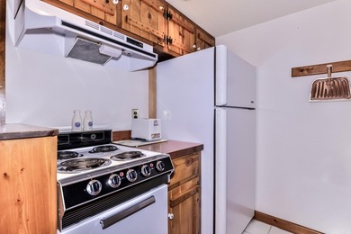Stunning Northwoods retreat with 233 feet of pristine waterfront - photo 36