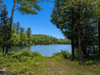 A true Washington Pond gem: owned waterfront, deep-water access - photo 7