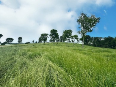 Barefoot Bay Beauty — 1 Acre with Lake Views & Marina Slip - photo 10