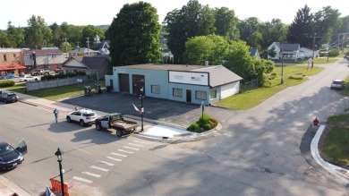 Hanley Lake Commercial For Sale in Central Lake Michigan