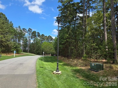 This Badin Lake area lot is located in the prestigious gated - photo 1