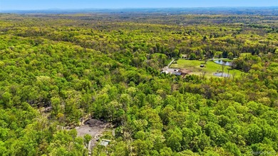 Set across an extraordinary expanse of pristine Hudson Valley - photo 12