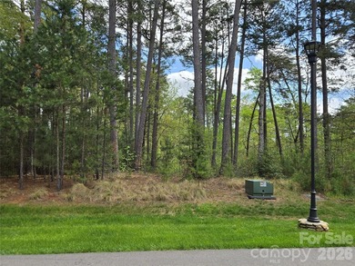This Badin Lake area lot is located in the prestigious gated - photo 3