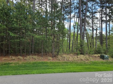 This Badin Lake area lot is located in the prestigious gated - photo 5