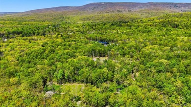 Set across an extraordinary expanse of pristine Hudson Valley - photo 15