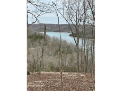 Awesome Lakefront/Lakeview  Building Site with Community water - photo 8