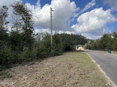 Lake Lot For Sale in Alford, Florida