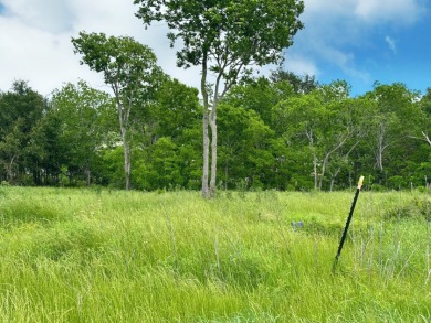 Barefoot Bay Beauty — 1 Acre with Lake Views & Marina Slip - photo 25