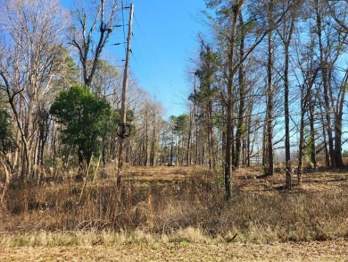 Lake Acreage For Sale in Santee, South Carolina