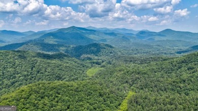 Lake Acreage For Sale in Hiawassee, Georgia